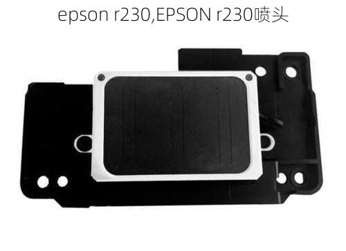 epson r230,EPSON r230喷头