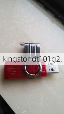 kingstondt101g2,