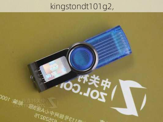 kingstondt101g2,