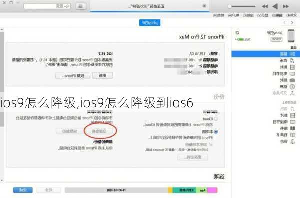 ios9怎么降级,ios9怎么降级到ios6