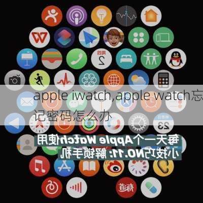 apple iwatch,apple watch忘记密码怎么办