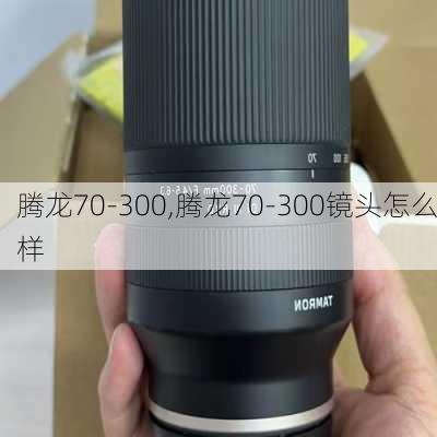 腾龙70-300,腾龙70-300镜头怎么样