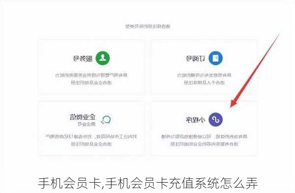 手机会员卡,手机会员卡充值系统怎么弄