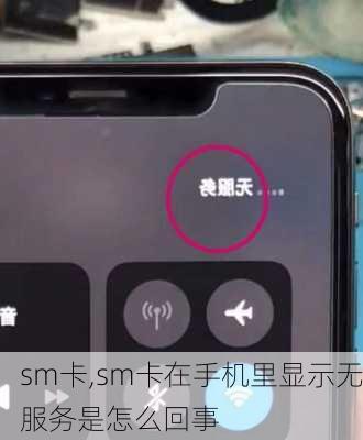 sm卡,sm卡在手机里显示无服务是怎么回事