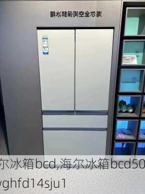 海尔冰箱bcd,海尔冰箱bcd502wghfd14sju1