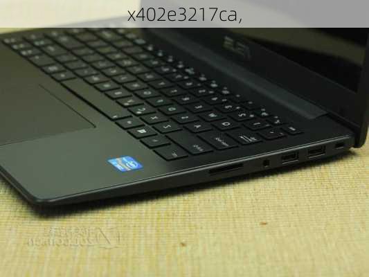 x402e3217ca,