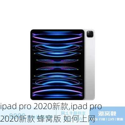 ipad pro 2020新款,ipad pro 2020新款 蜂窝版 如何上网