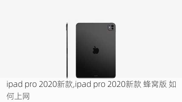 ipad pro 2020新款,ipad pro 2020新款 蜂窝版 如何上网