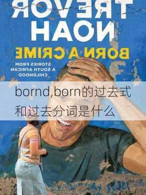 bornd,born的过去式和过去分词是什么