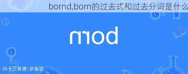 bornd,born的过去式和过去分词是什么