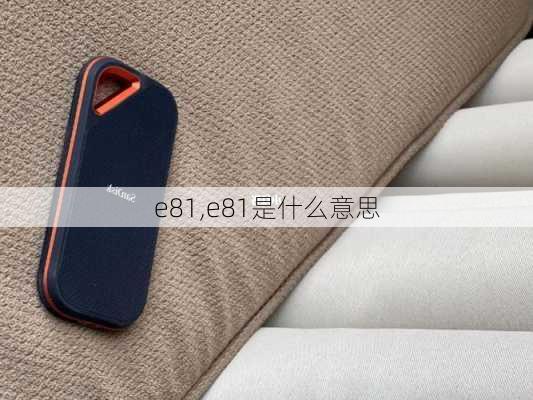 e81,e81是什么意思