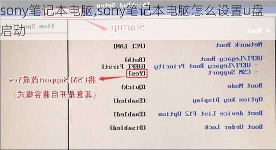 sony笔记本电脑,sony笔记本电脑怎么设置u盘启动