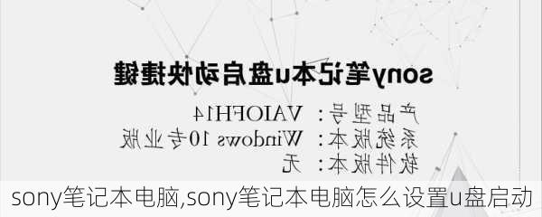 sony笔记本电脑,sony笔记本电脑怎么设置u盘启动