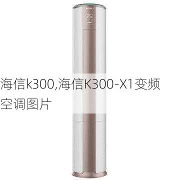 海信k300,海信K300-X1变频空调图片