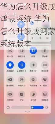 华为怎么升级成鸿蒙系统,华为怎么升级成鸿蒙系统版本