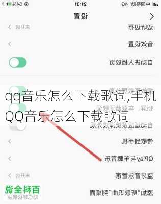 qq音乐怎么下载歌词,手机QQ音乐怎么下载歌词