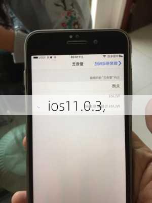 ios11.0.3,