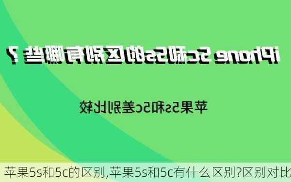 苹果5s和5c的区别,苹果5s和5c有什么区别?区别对比