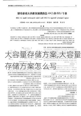 大容量存储方案,大容量存储方案怎么写