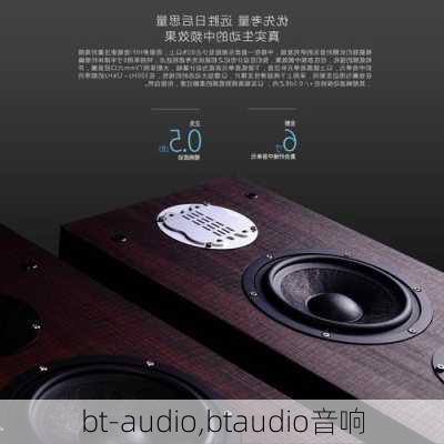 bt-audio,btaudio音响