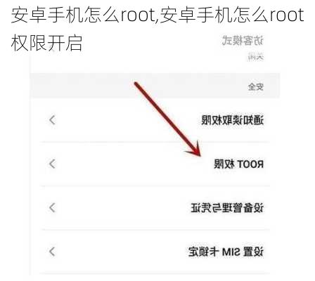 安卓手机怎么root,安卓手机怎么root权限开启