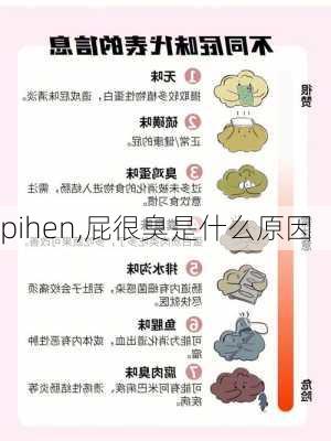 pihen,屁很臭是什么原因