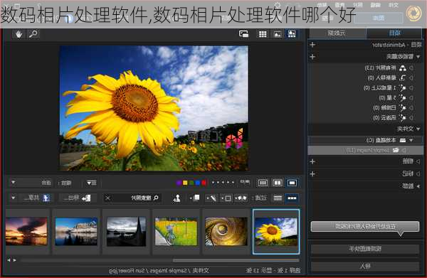 数码相片处理软件,数码相片处理软件哪个好