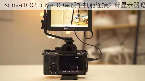 sonya100,Sonya100单反相机能连接外部显示器吗