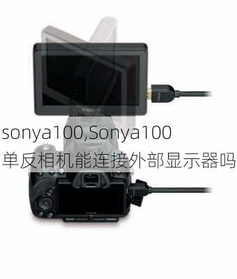 sonya100,Sonya100单反相机能连接外部显示器吗