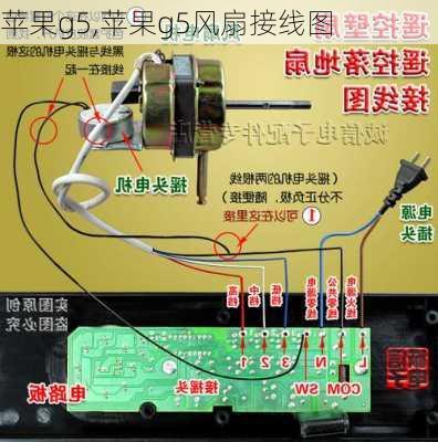 苹果g5,苹果g5风扇接线图