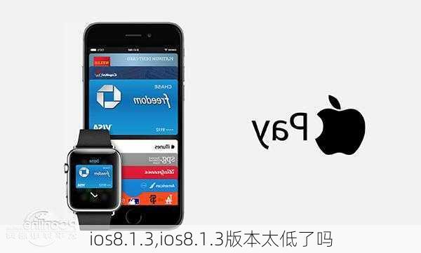 ios8.1.3,ios8.1.3版本太低了吗