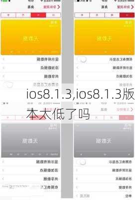 ios8.1.3,ios8.1.3版本太低了吗