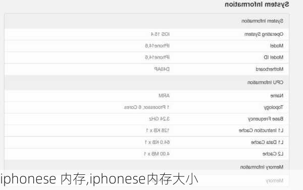 iphonese 内存,iphonese内存大小