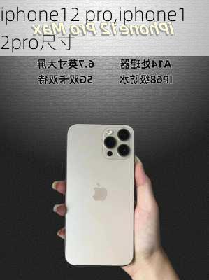 iphone12 pro,iphone12pro尺寸