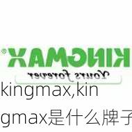 kingmax,kingmax是什么牌子