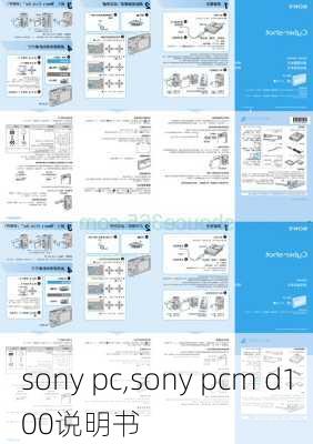 sony pc,sony pcm d100说明书