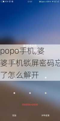 popo手机,婆婆手机锁屏密码忘了怎么解开