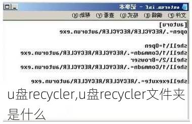 u盘recycler,u盘recycler文件夹是什么