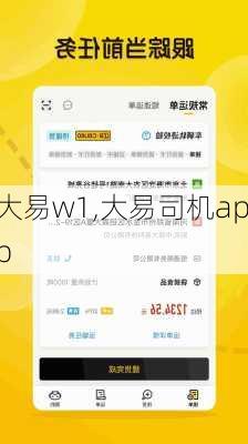 大易w1,大易司机app