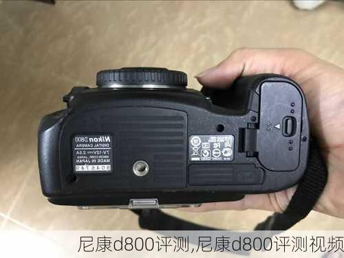 尼康d800评测,尼康d800评测视频