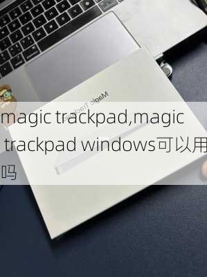 magic trackpad,magic trackpad windows可以用吗