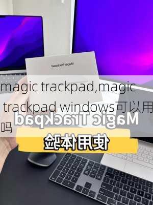 magic trackpad,magic trackpad windows可以用吗