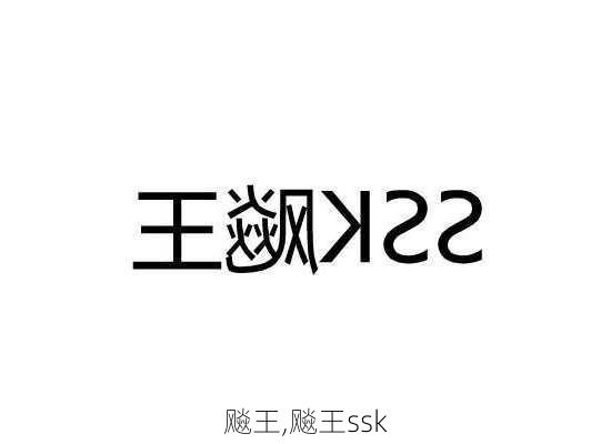 飚王,飚王ssk