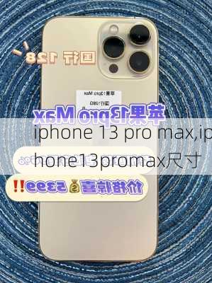 iphone 13 pro max,iphone13promax尺寸