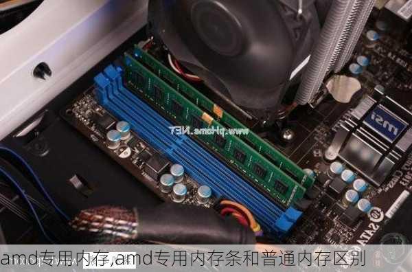 amd专用内存,amd专用内存条和普通内存区别