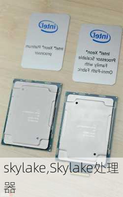 skylake,Skylake处理器